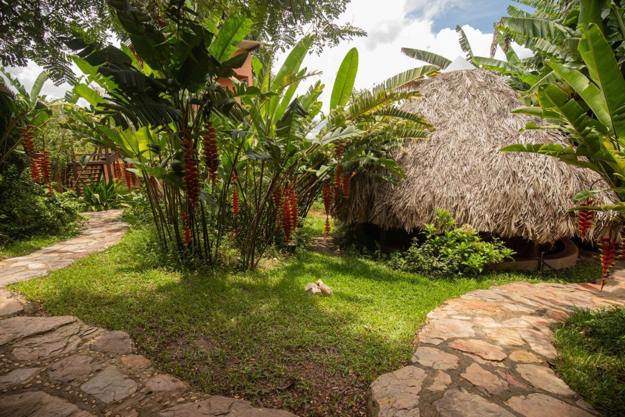 Buddy'S Hostel & Pousada Alto Paraiso Алту-Параизу-ди-Гояс Экстерьер фото