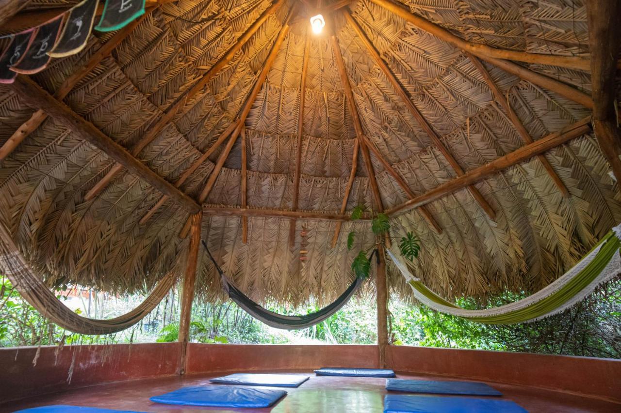 Buddy'S Hostel & Pousada Alto Paraiso Алту-Параизу-ди-Гояс Экстерьер фото