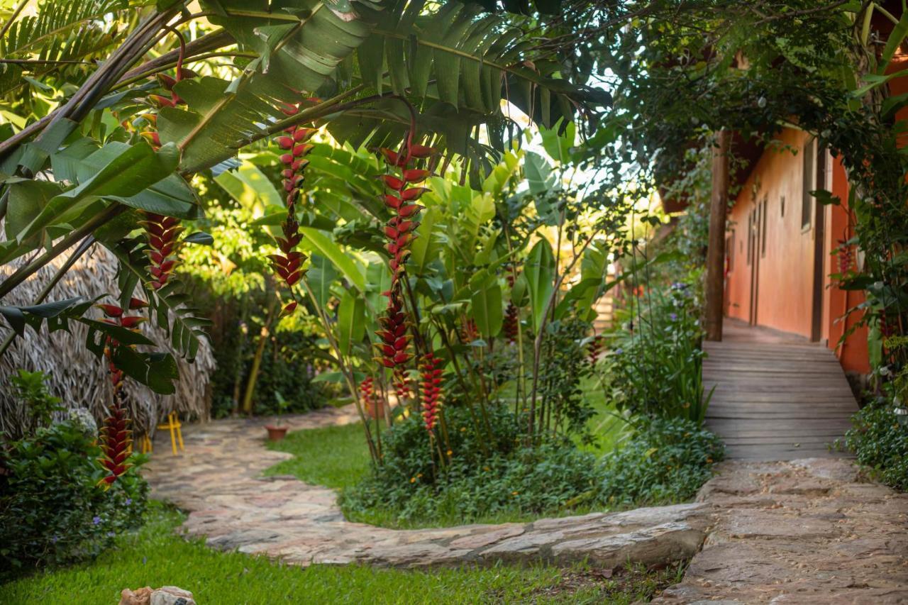 Buddy'S Hostel & Pousada Alto Paraiso Алту-Параизу-ди-Гояс Экстерьер фото
